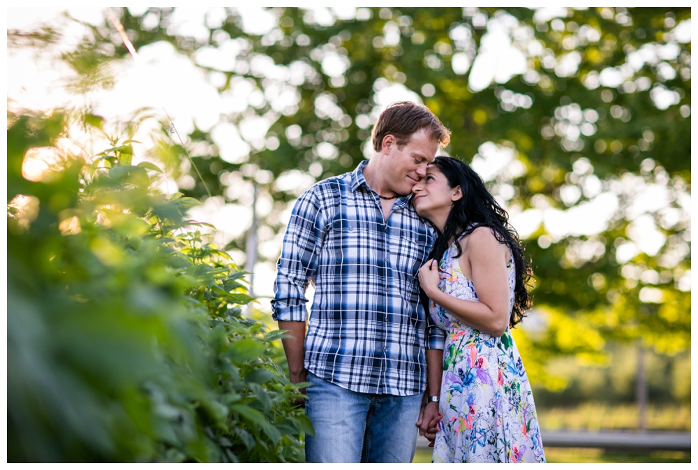 Annemarie + Phil Engagement Meadowbrook Orchards MA